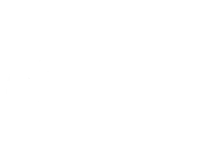 Bizybear
